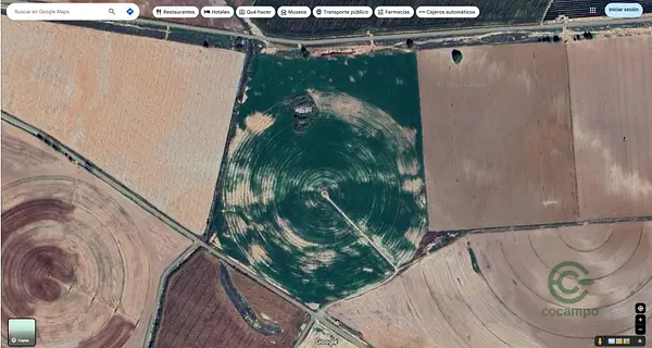 Spot image