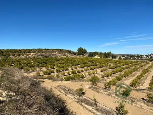 Spot image