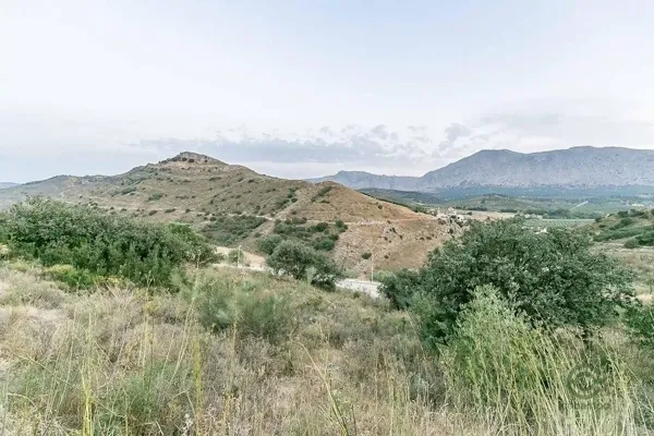 Spot image