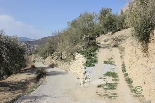 Spot image