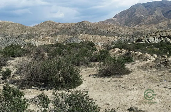 Spot image