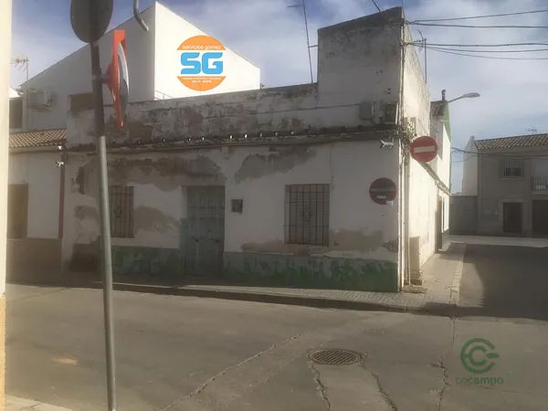 Spot image