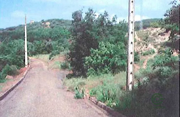 Spot image