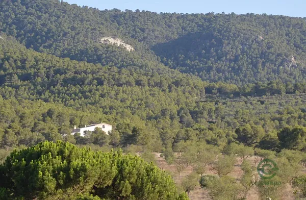 Spot image