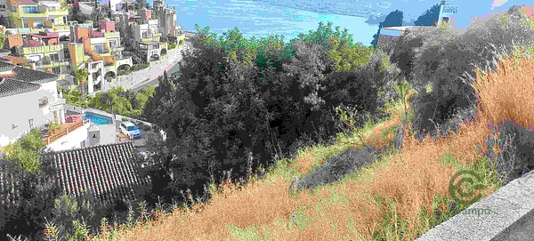 Spot image