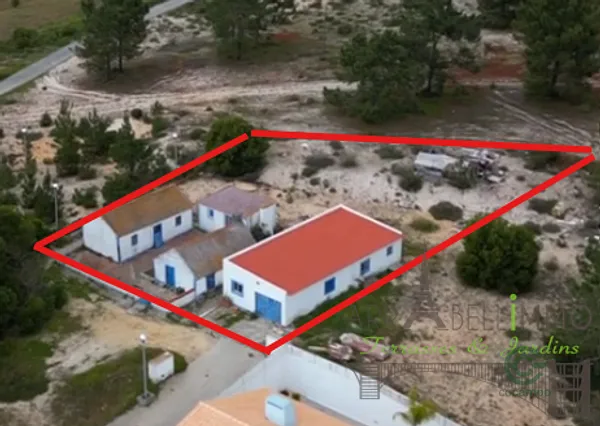 Spot image