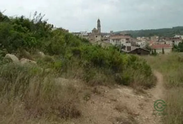 Spot image