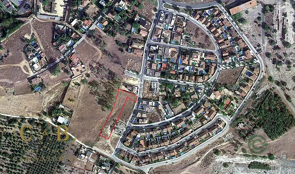Spot image