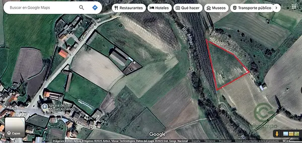 Spot image