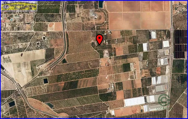 Spot image