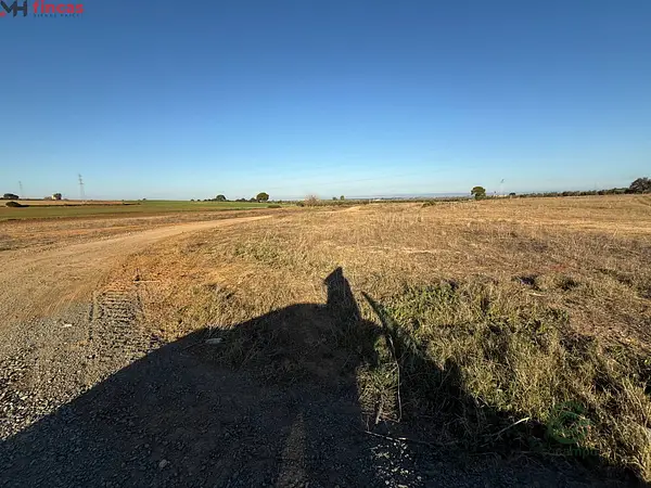 Spot image
