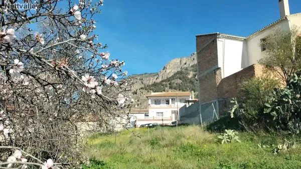Spot image
