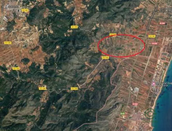 Spot image