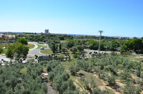 Spot image