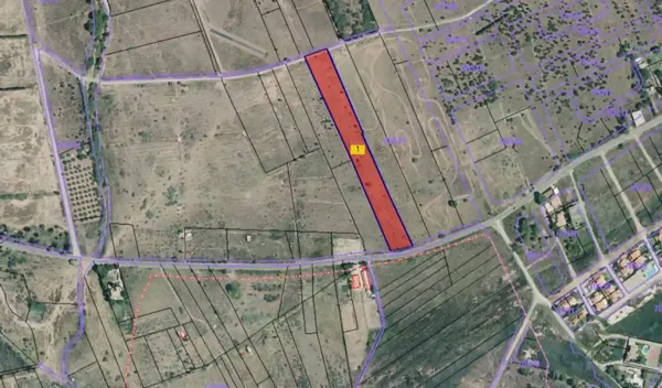 Spot image