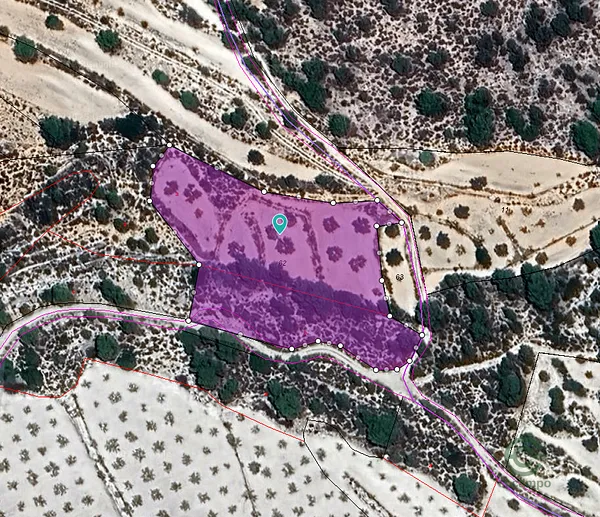 Spot image