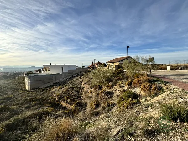 Spot image