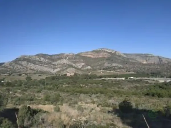 Spot image