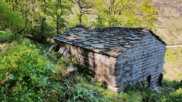 Spot image