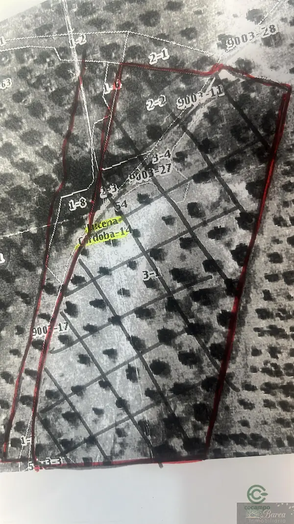 Spot image