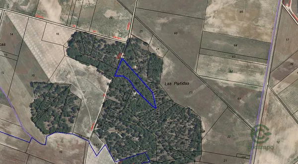 Spot image