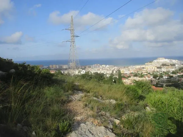 Spot image