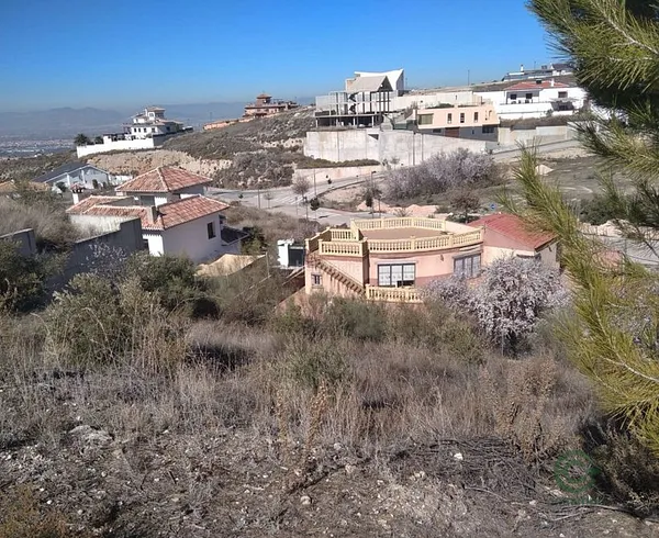 Spot image