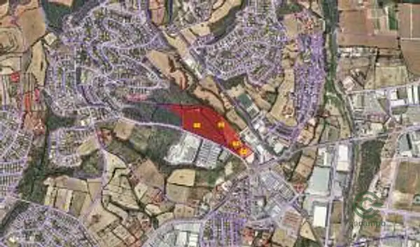 Spot image