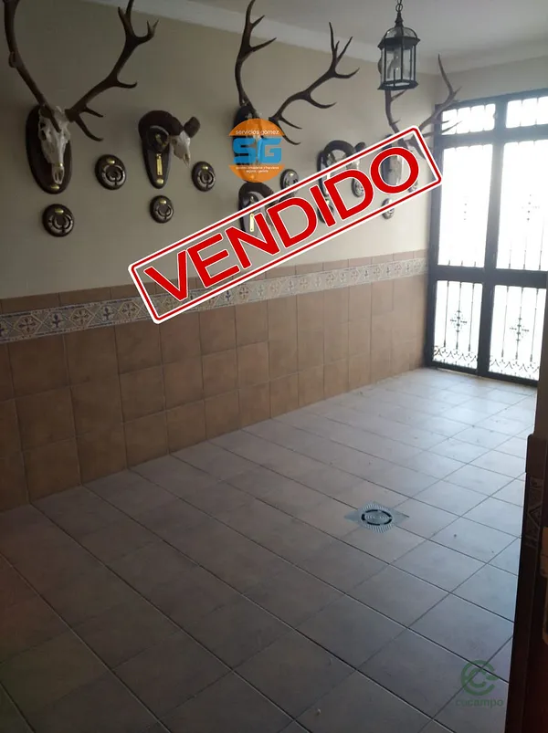 Spot image