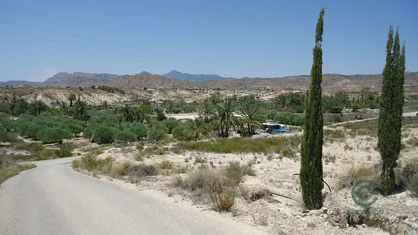 Spot image