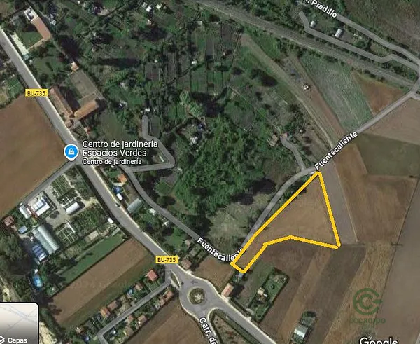 Spot image