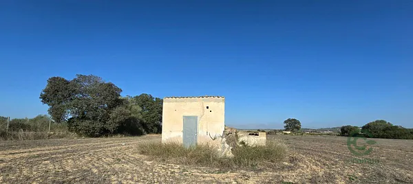 Spot image
