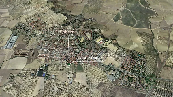 Spot image