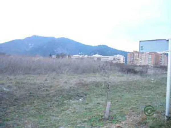 Spot image
