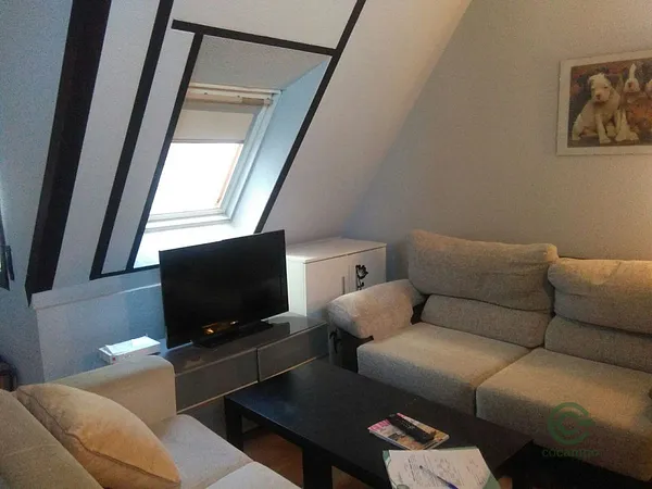 Spot image