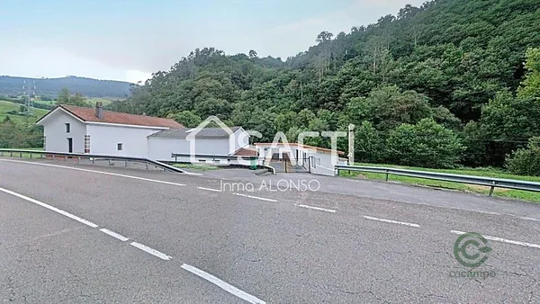 Spot image