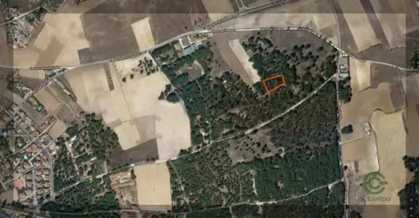 Spot image