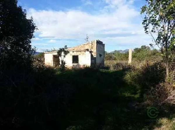 Spot image