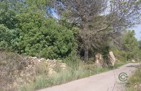 Spot image