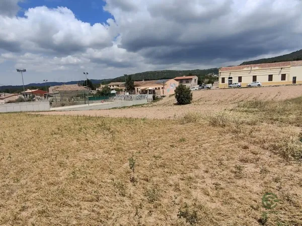 Spot image
