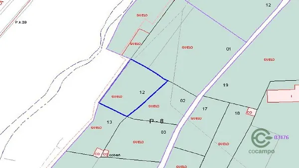 Spot image
