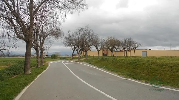 Spot image