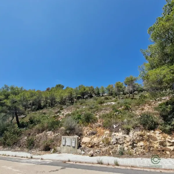 Spot image