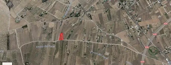 Spot image