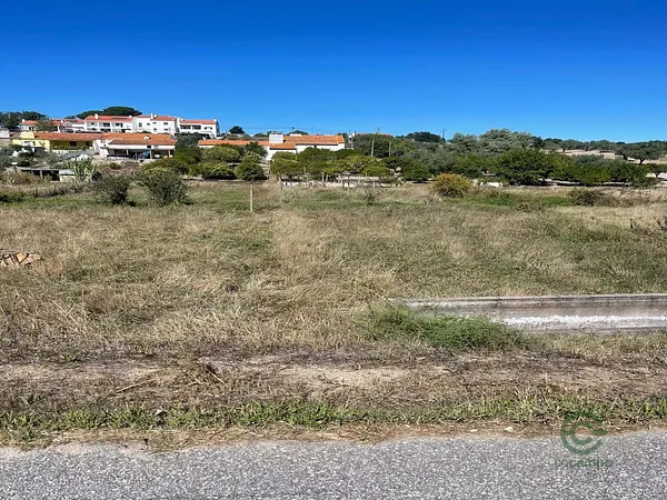 Spot image