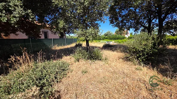 Spot image