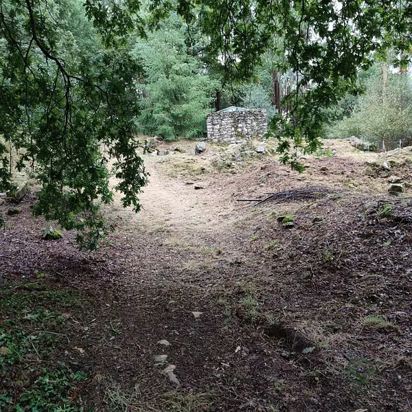 Spot image