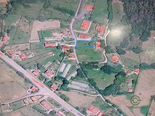 Spot image