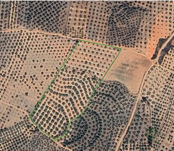Spot image