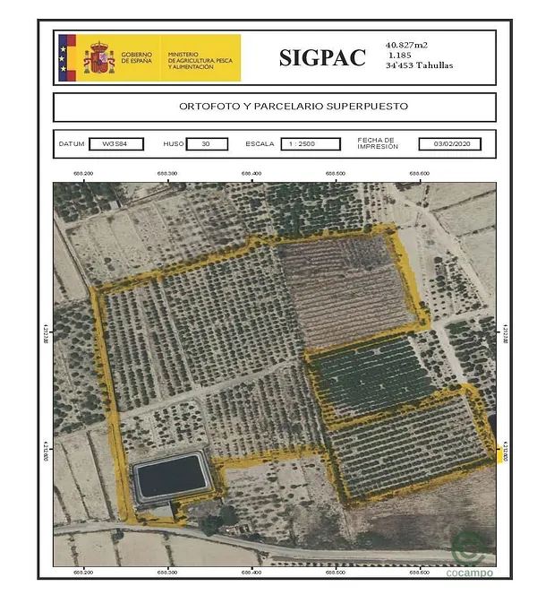 Spot image